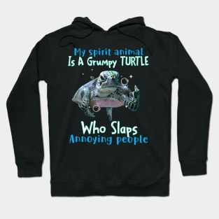 Turtle My Spirit Animal Is A Grumpy Turtle Who Slaps Annoying People Hoodie